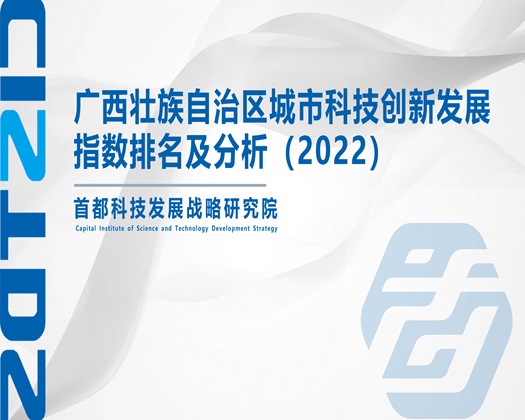 鸡巴操大逼网站【成果发布】广西壮族自治区城市科技创新发展指数排名及分析（2022）